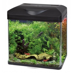 ACQUARIO LAGUNA LED 40