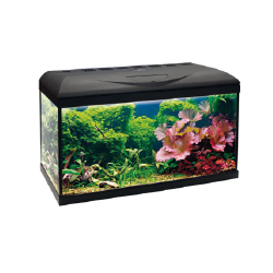 AMTRA BASIC 60 LED...