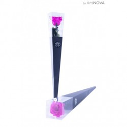 TRANSP. BOX D6 H30 ROSA...