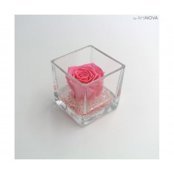 copy of TRANSP. BOX D6 H30...