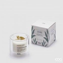 copy of FILLED VOTIVE MANGO...