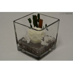 CUBO FONDO CAFFE 12X12 ROSA...