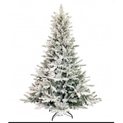ALBERO CARSON INNEVATO...