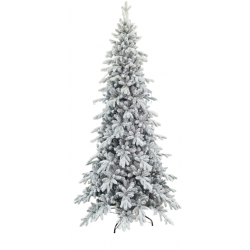 copy of ALBERO VICTORIA...