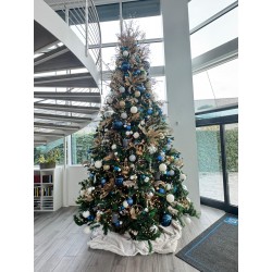 68 ALLESTIMENTO  NATALIZIO