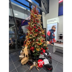 71 CONCESSIONARIA SAOTTINI...