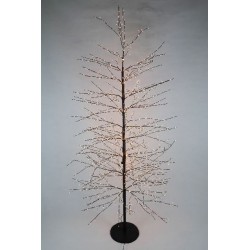 copy of ALBERO MARRONE...