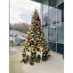 79 TRANSVECTA ALLESTIMENTO...