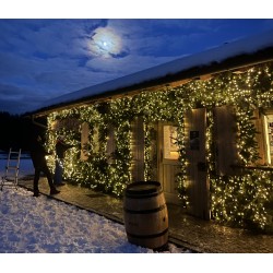 83 CIOCOMITI ALLESTIMENTO...