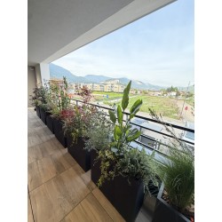 22 ALLESTIMENTO VERDE CASA...