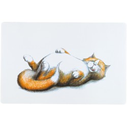 SOTTOCIOTOLA GATTO CICCIONE...