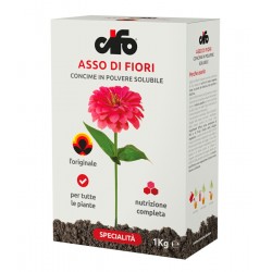 ASSO DI FIORI 1 KG