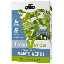 GRANVERDE PIANTE VERDI 1 KG