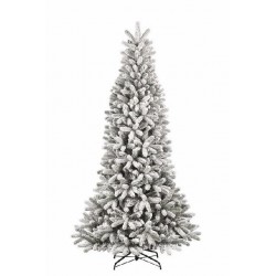 ALBERO CHEYENNE INNEVATO...