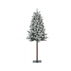 ALBERO MONTANA INNEVATO...