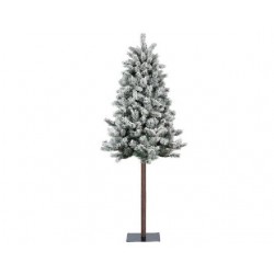 ALBERO MONTANA INNEVATO...