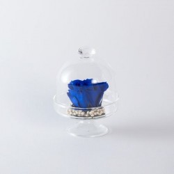ALZATINA BIJOUX ROSA BLU...
