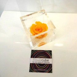 FLOWERCUBE ROSA 6X6 ARANCIO