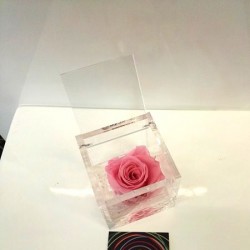 FLOWERCUBE ROSA 6X6 ROSA