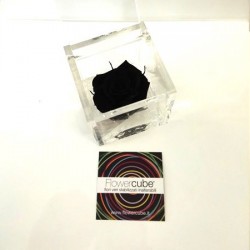 FLOWERCUBE ROSA 6X6 NERO