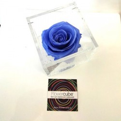 FLOWERCUBE ROSA 8X8 AZZURRO