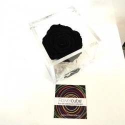 FLOWERCUBE ROSA 8X8 NERO