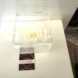 FLOWERCUBE ROSA 10X10 BIANCO