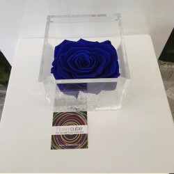 FLOWERCUBE ROSA 10X10 BLU