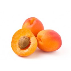 ALBICOCCO CAFONA V24