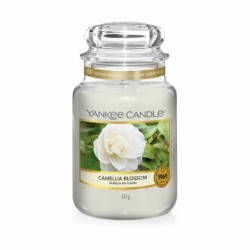 GIARA GRANDE CAMELLIA BLOSSOM