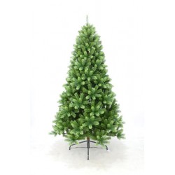 copy of ALBERO ALBERTA...