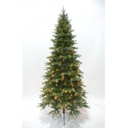 copy of ALBERO ATLANTA...