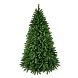copy of ALBERO ROCKY H150...