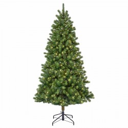 ALBERO CANMORE 180 CM...