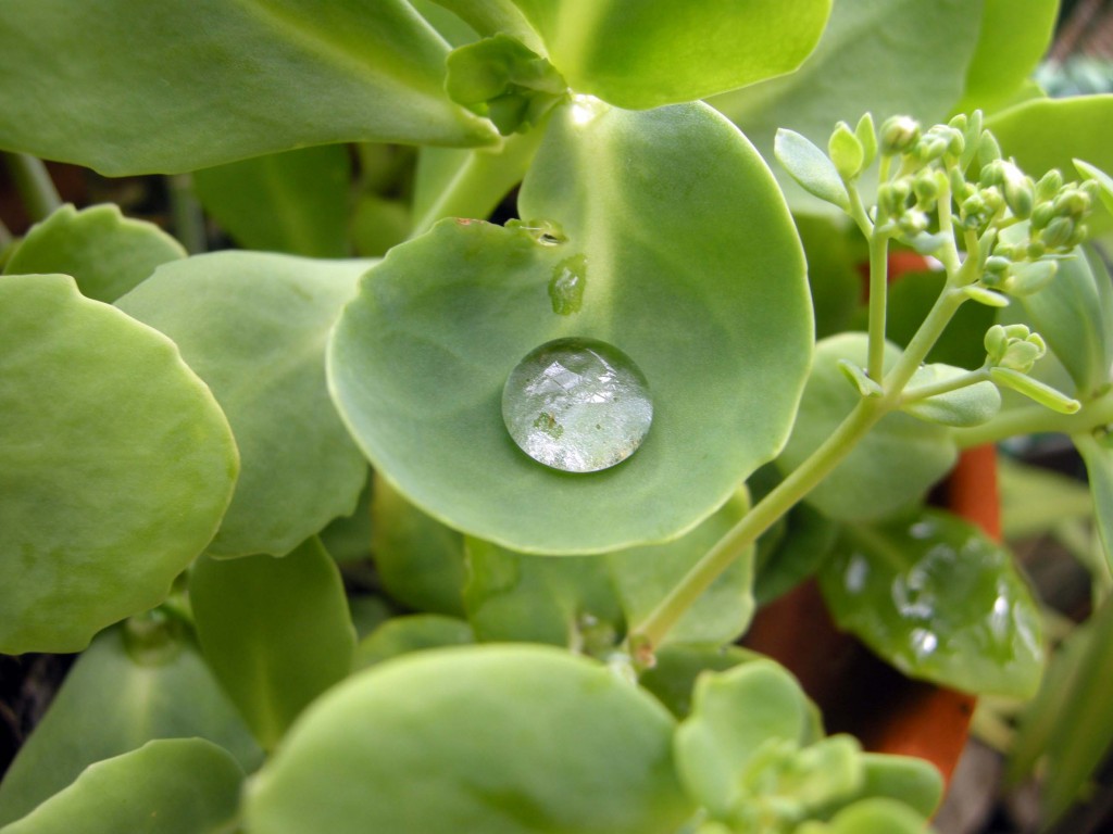 È indispensabile risparmiare acqua