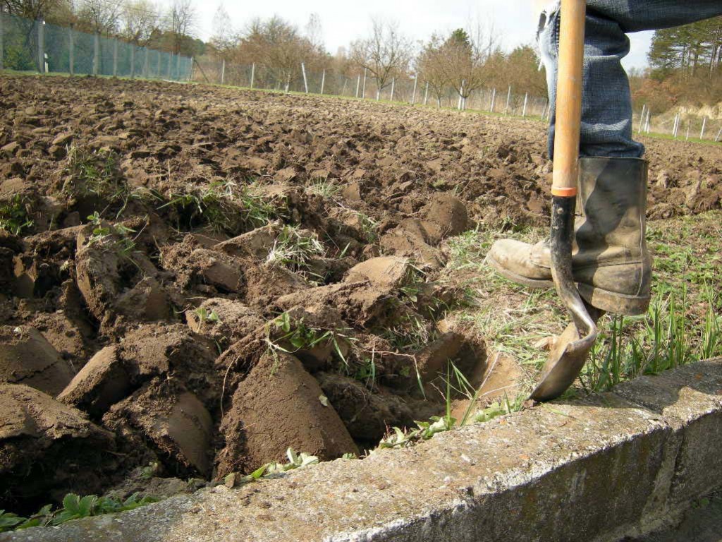 Lavorare il terreno dell’orto