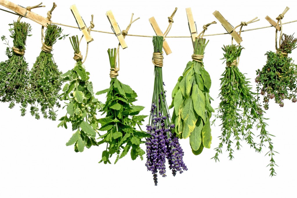 COME CONSERVARE LE AROMATICHE IN INVERNO