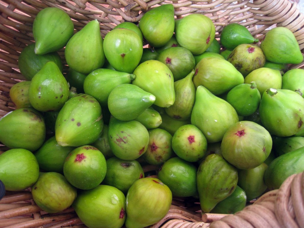 FICHI: AMICI DELL'INTESTINO E NON SOLO!