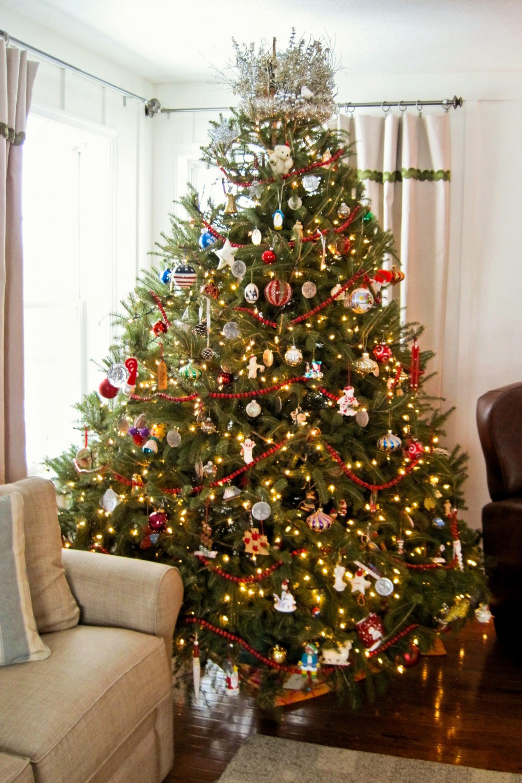 ALBERO DI NATALE VERO